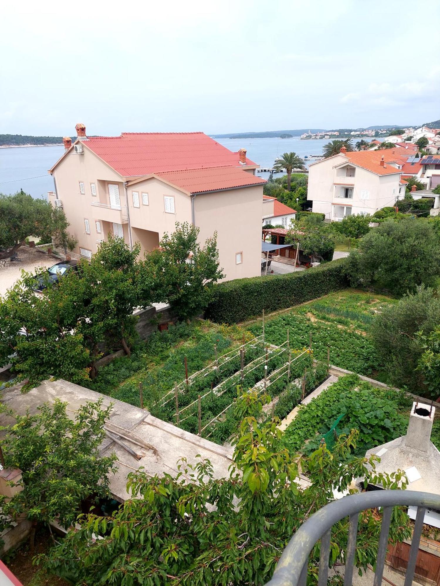 Apartment Olive House Rab Barbat na Rabu Δωμάτιο φωτογραφία